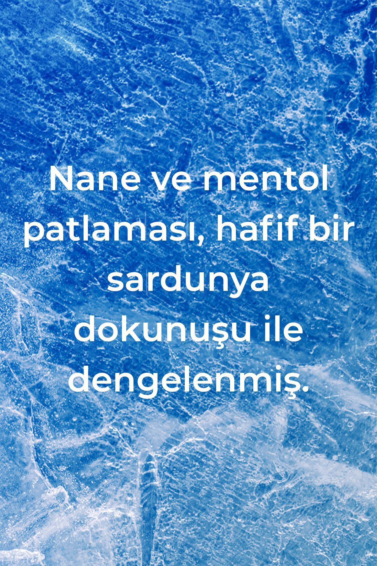 Method Banyo Temizleyici Nane Kokulu 828ML