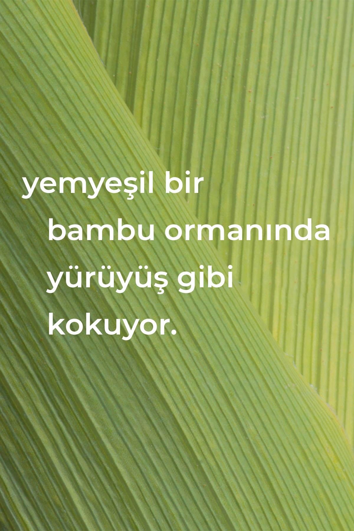 Method Çok Amaçlı Yüzey Temizleyici Bambu Kokulu 828ML
