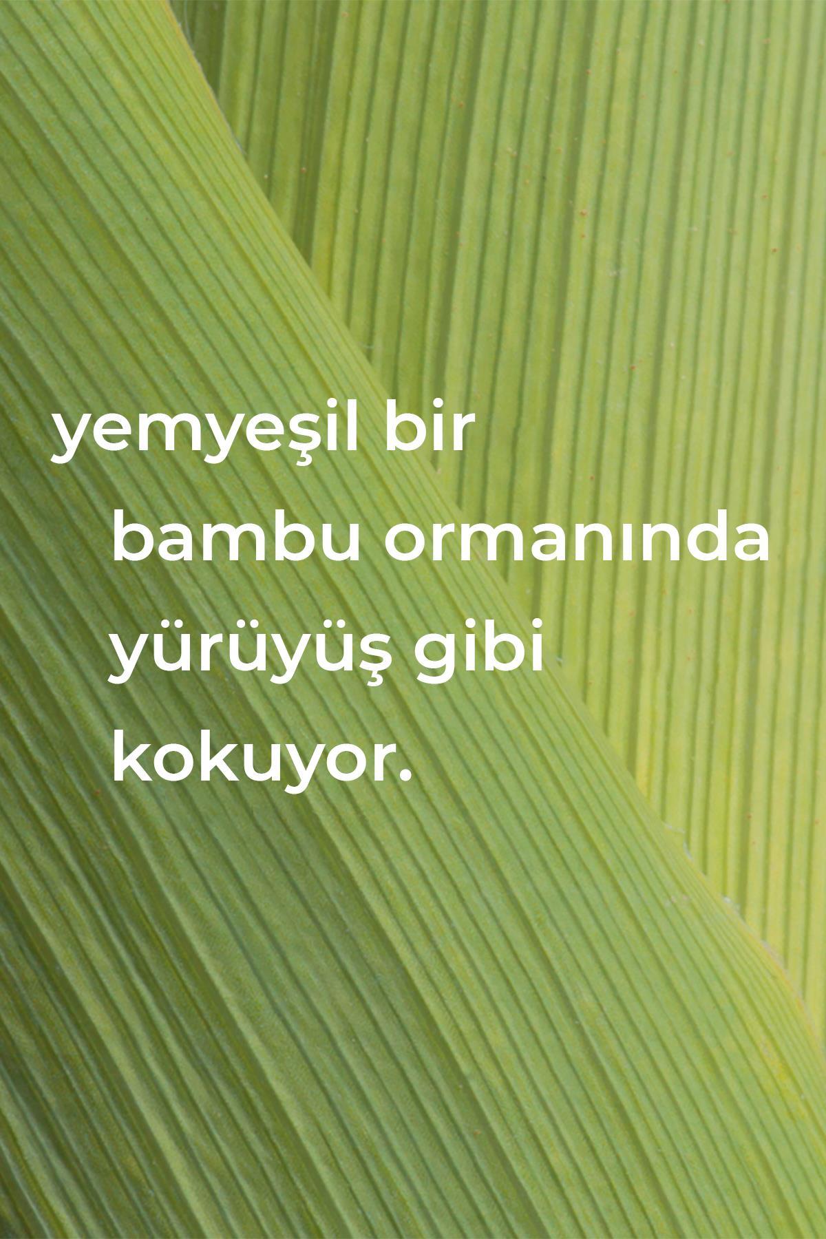 Method Çok Amaçlı Yüzey Temizleyici Bambu Kokulu 828ML