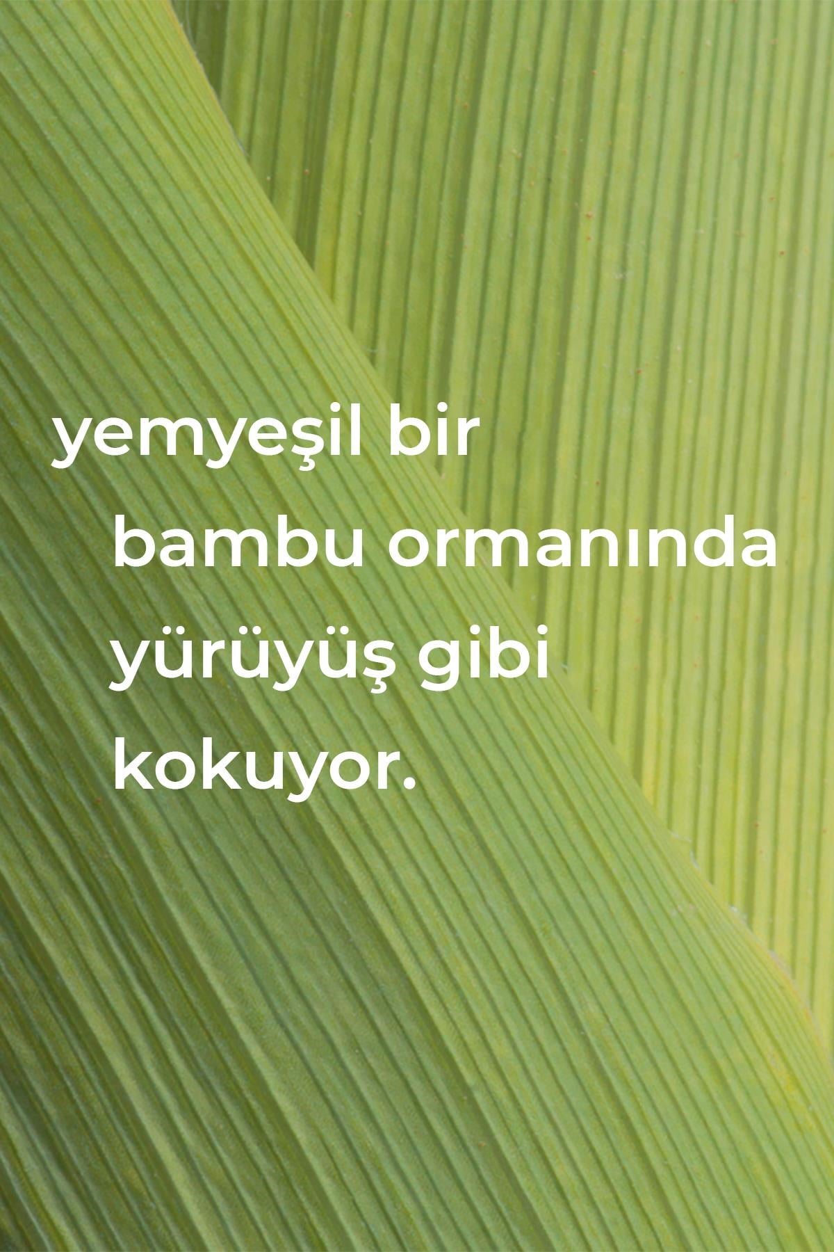 Method Çok Amaçlı Yüzey Temizleyici Bambu Kokulu 828ML