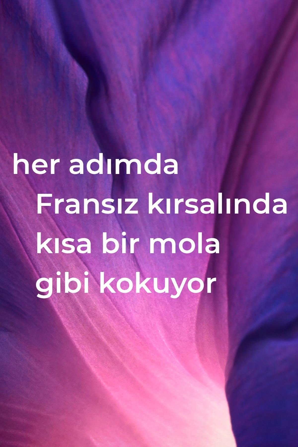 Method Çok Amaçlı Yüzey Temizleyici Fransız Lavantası Kokulu 828ML