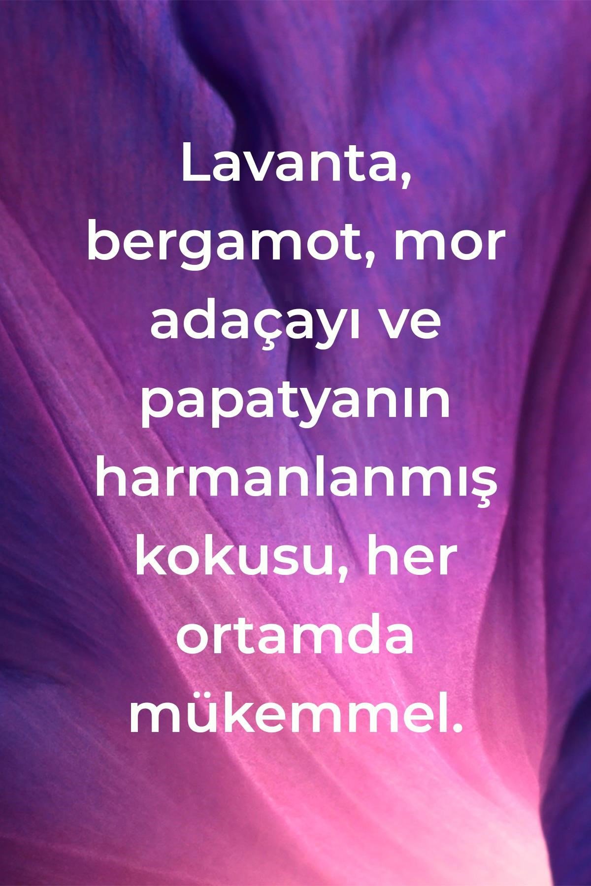 Method French Lavender Sıvı Sabun 354ML