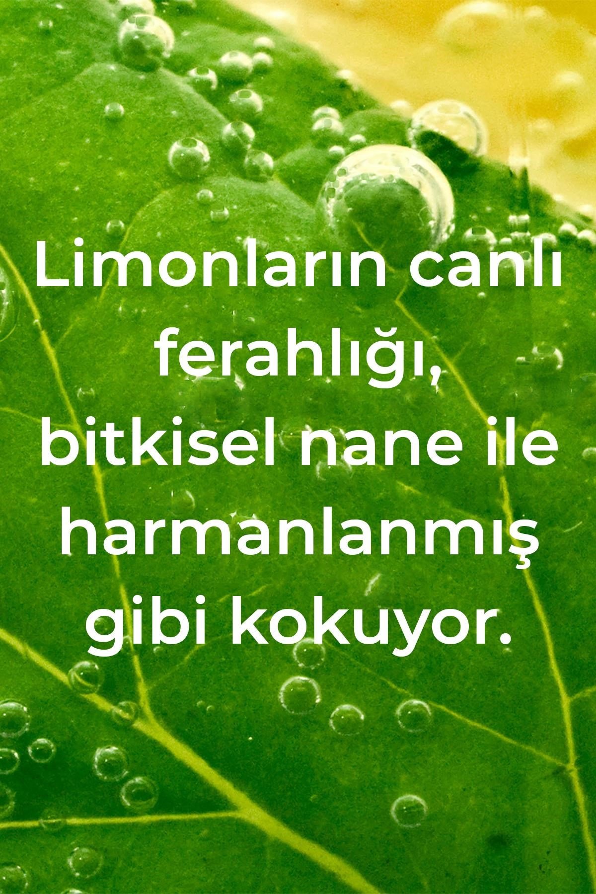Method Lemon Mint Elde Bulaşık Deterjanı 532ML