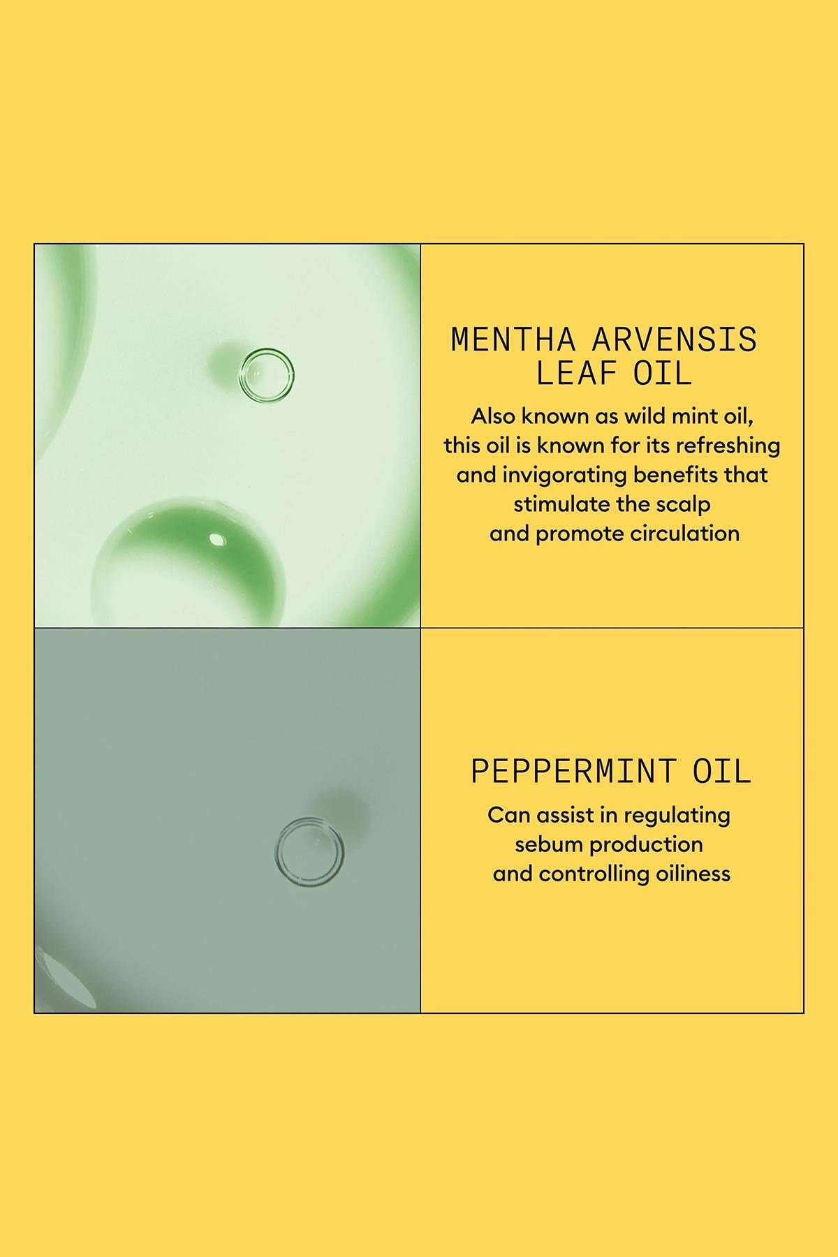 Nioxin System 1 Saç Kremi - İşlem Görmemiş Hafif İnce Saçlar İçin Kalınlaştırıcı Bakım 1000ML