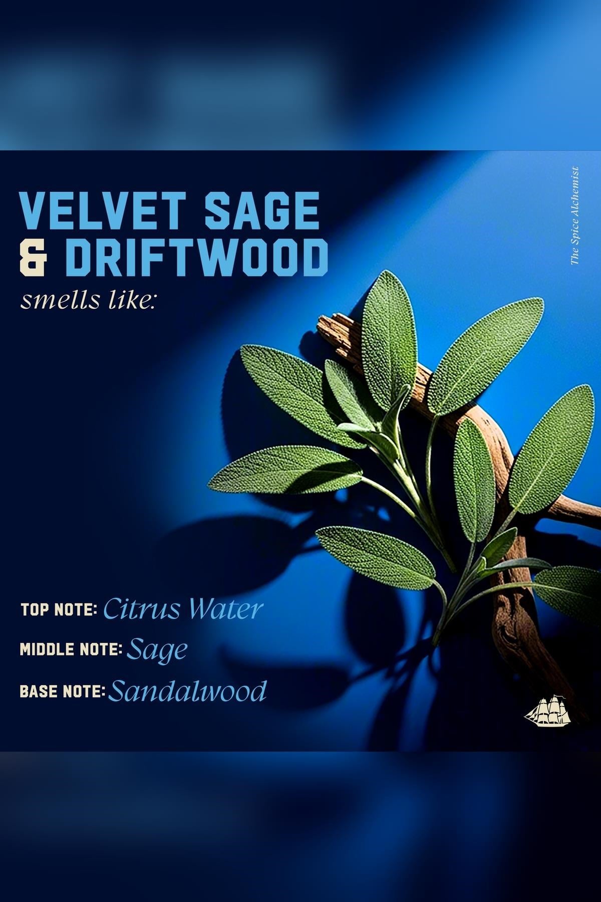 Old Spice Velvet Sage & Driftwood Şampuan 591ML
