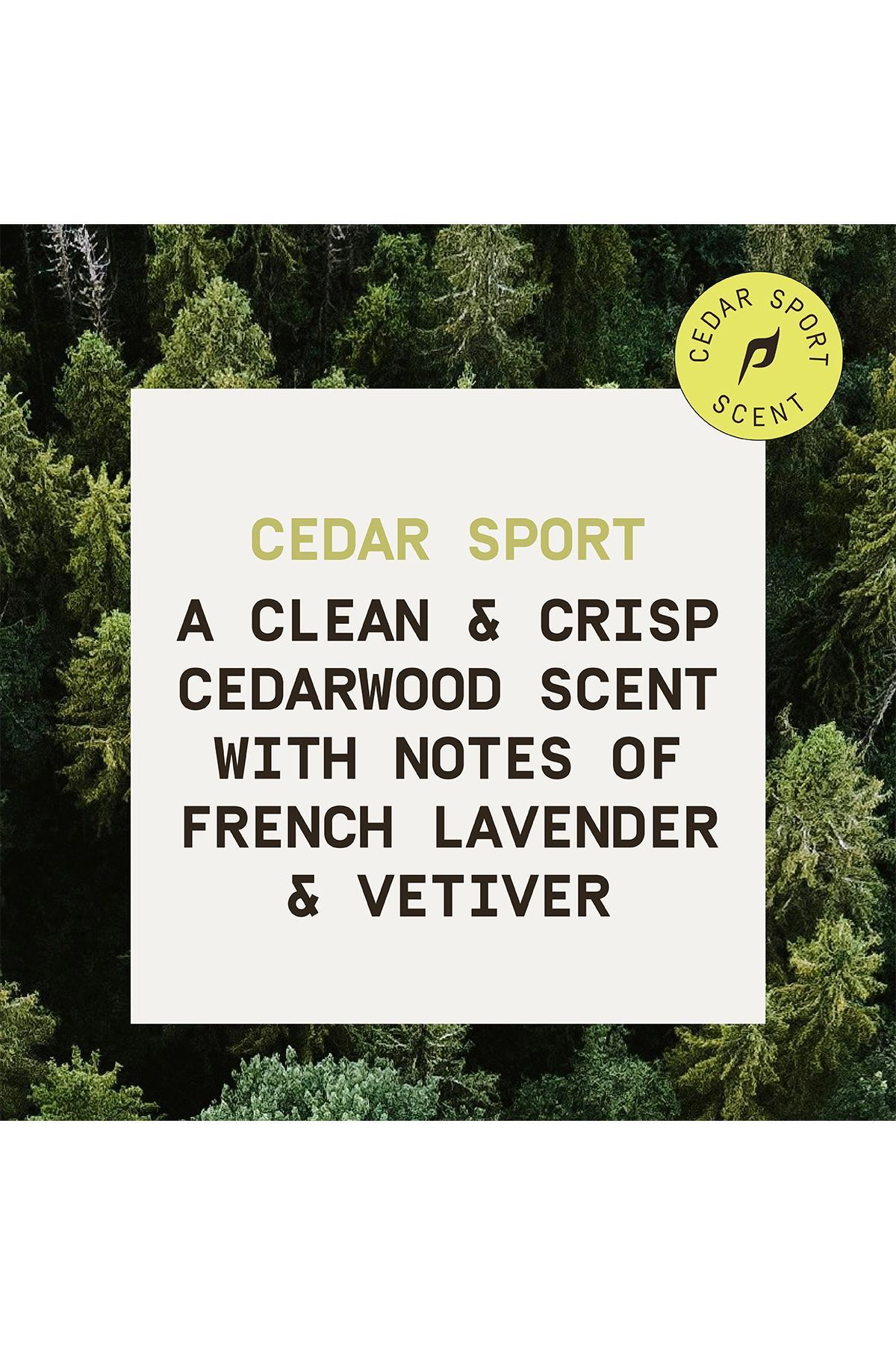 Papatui Cedar Sport Ferahlatıcı Erkek Duş Jeli 532ML