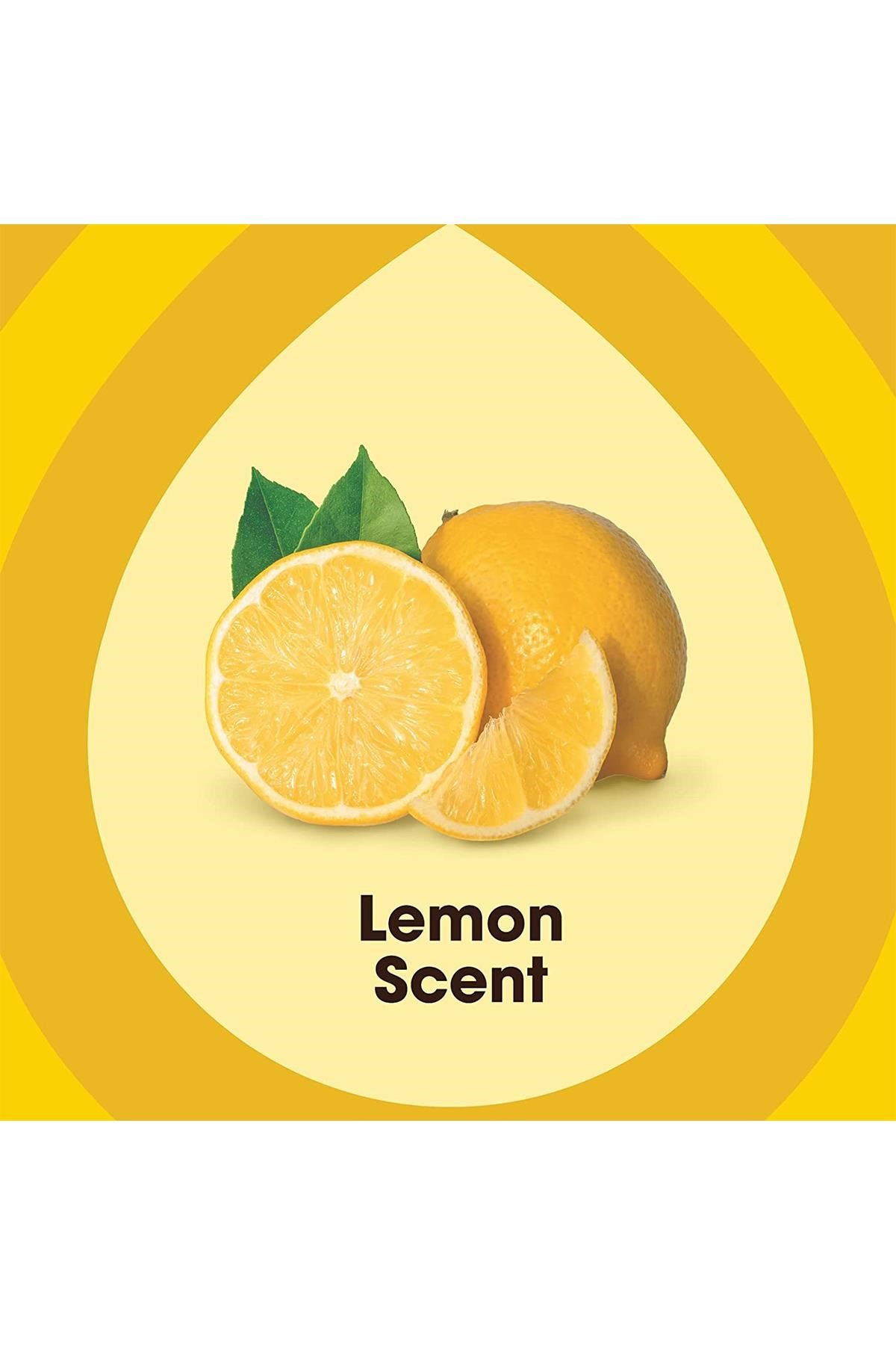 Pledge Limon Parlatıcı ve Koruyucu Yüzey Cilası 274GR