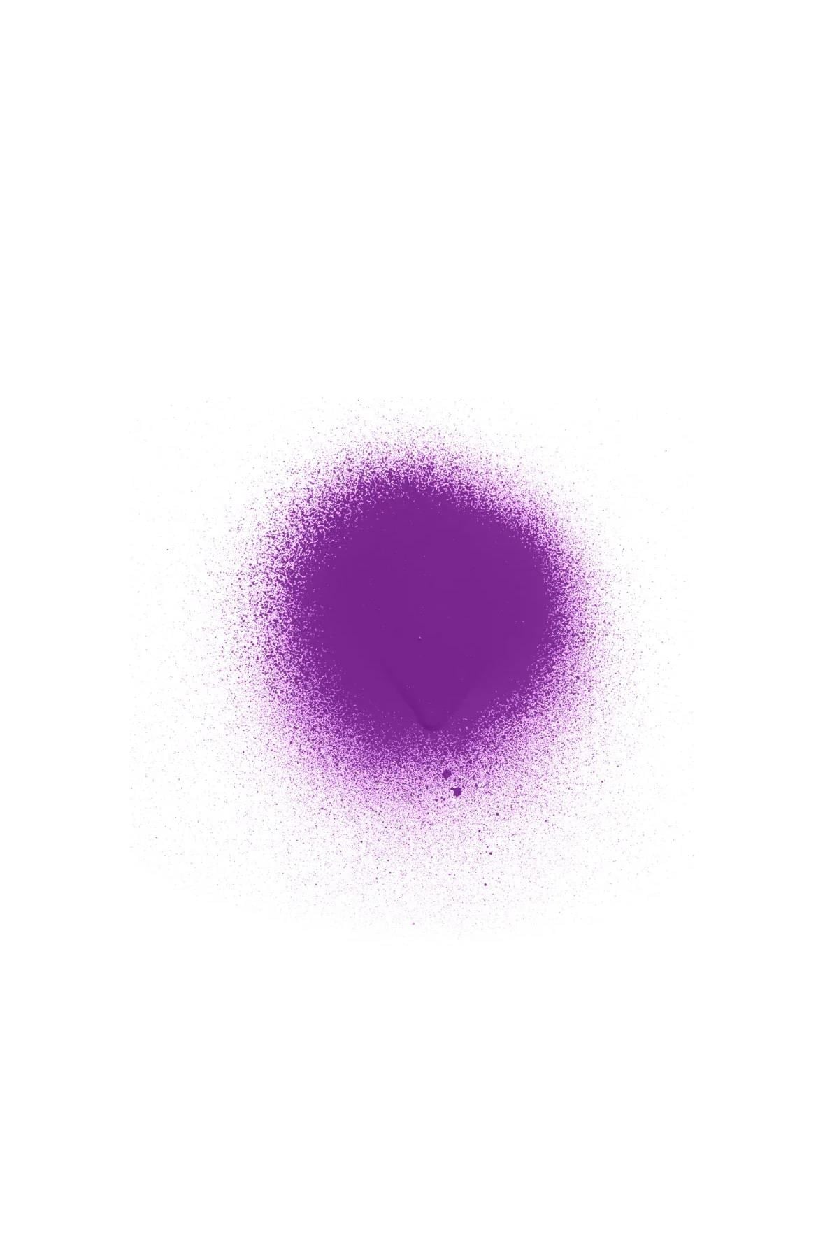 Punky Colour Geçici Renklendirici Saç Spreyi Panther Purple 100GR