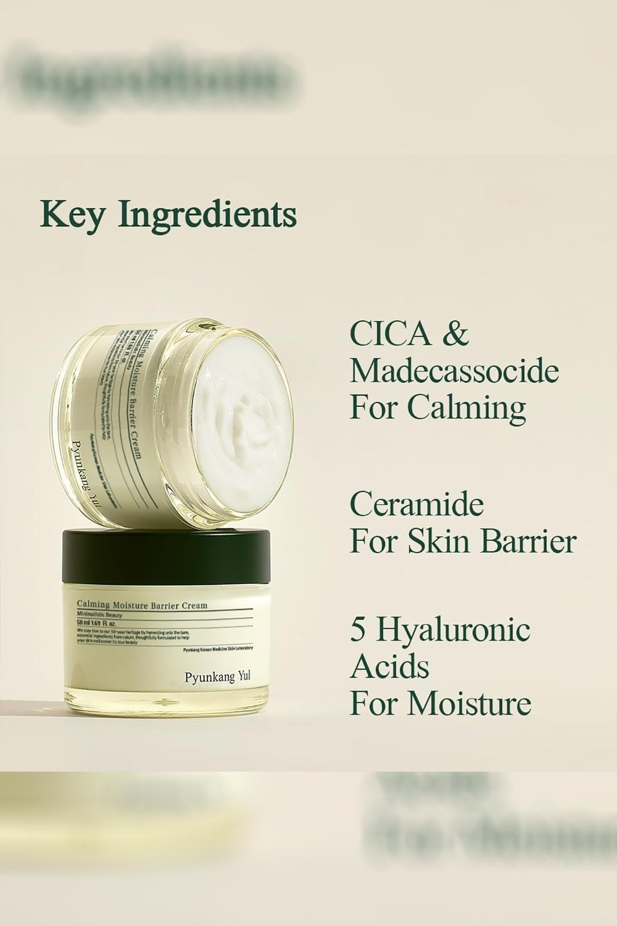 Pyunkang Yul Calming Moisture Barrier Nemlendirici Yüz Kremi 50ML
