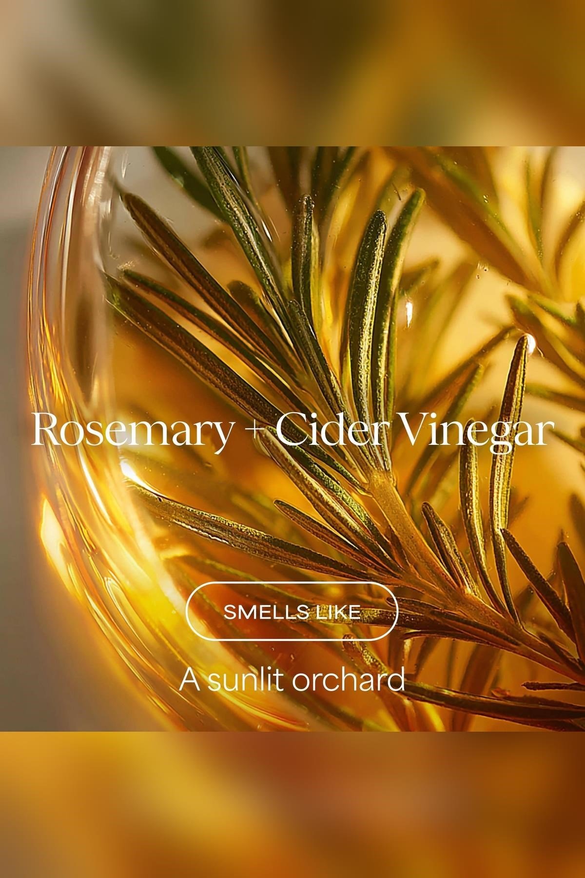 Raw Sugar The Mighty Curl Rosemary + Cider Vinegar Bukle Belirginleştirici Şampuan 473ML