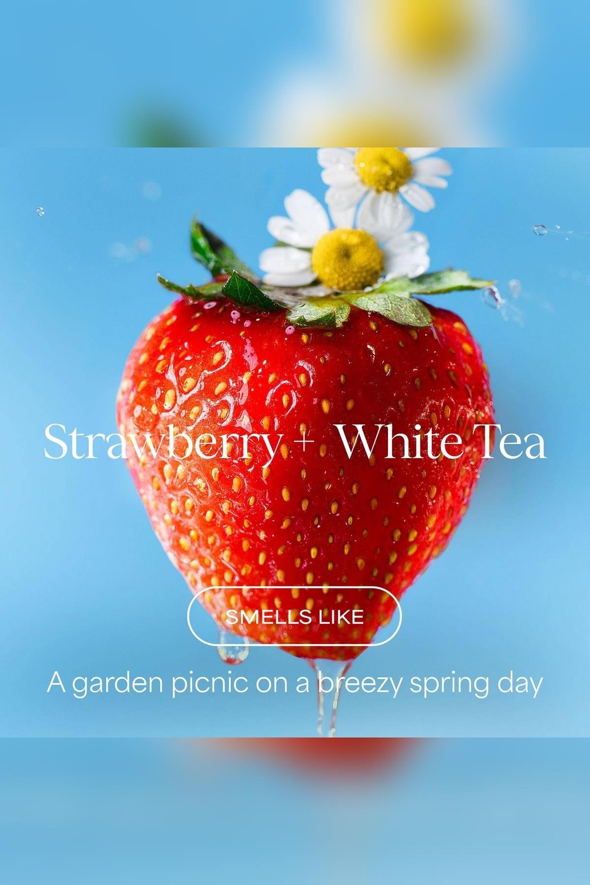 Raw Sugar The Volume Revive Strawberry + White Tea Hacimlendirici Şampuan 473ML