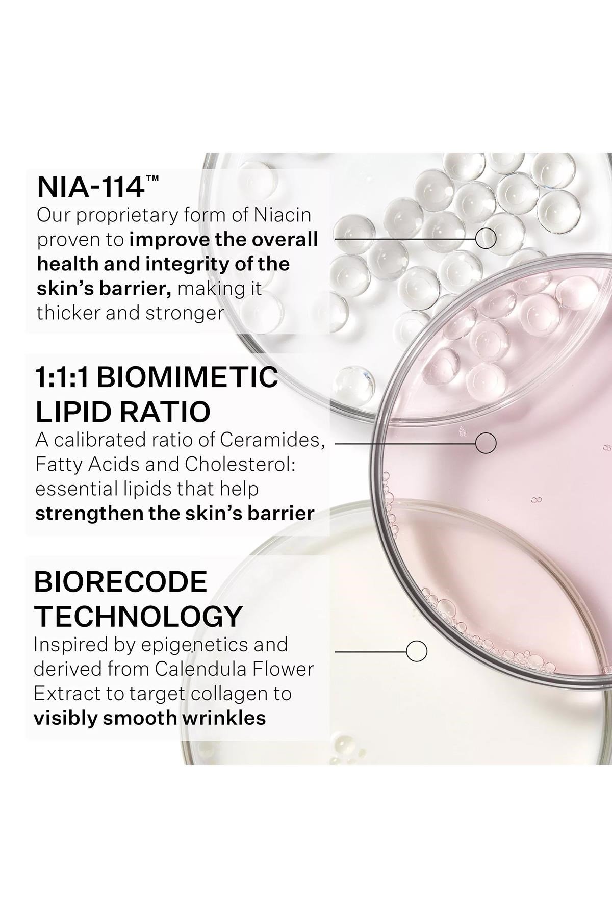 StriVectin Anti-Wrinkle Kırışıklık Karşıtı Nemlendirici Bariyer Kremi 50ML