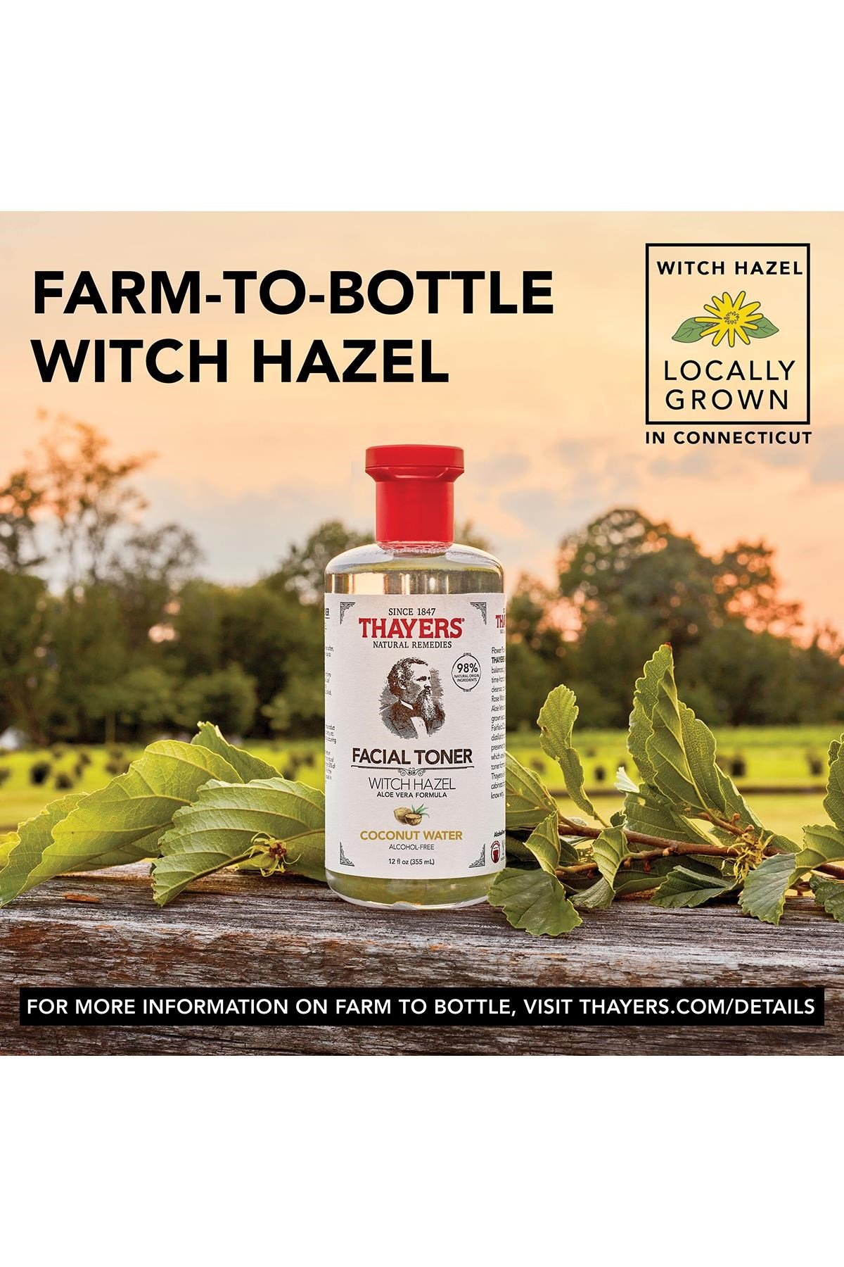 Thayers Cadı Fındığı ve Hindistan Cevizi Suyu Yüz Toniği 355ML