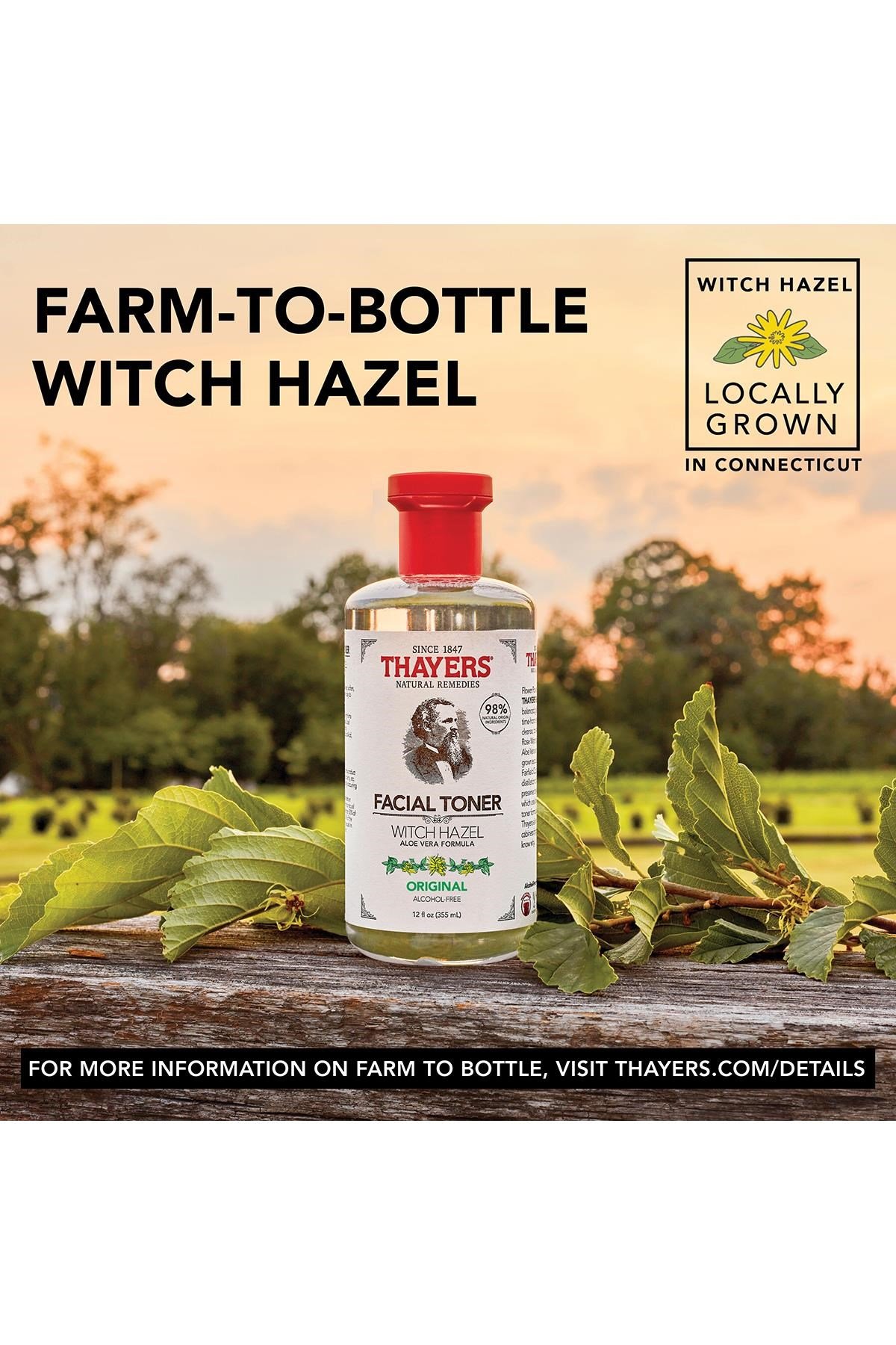 Thayers Original Cadı Fındığı Yüz Toniği 355ML