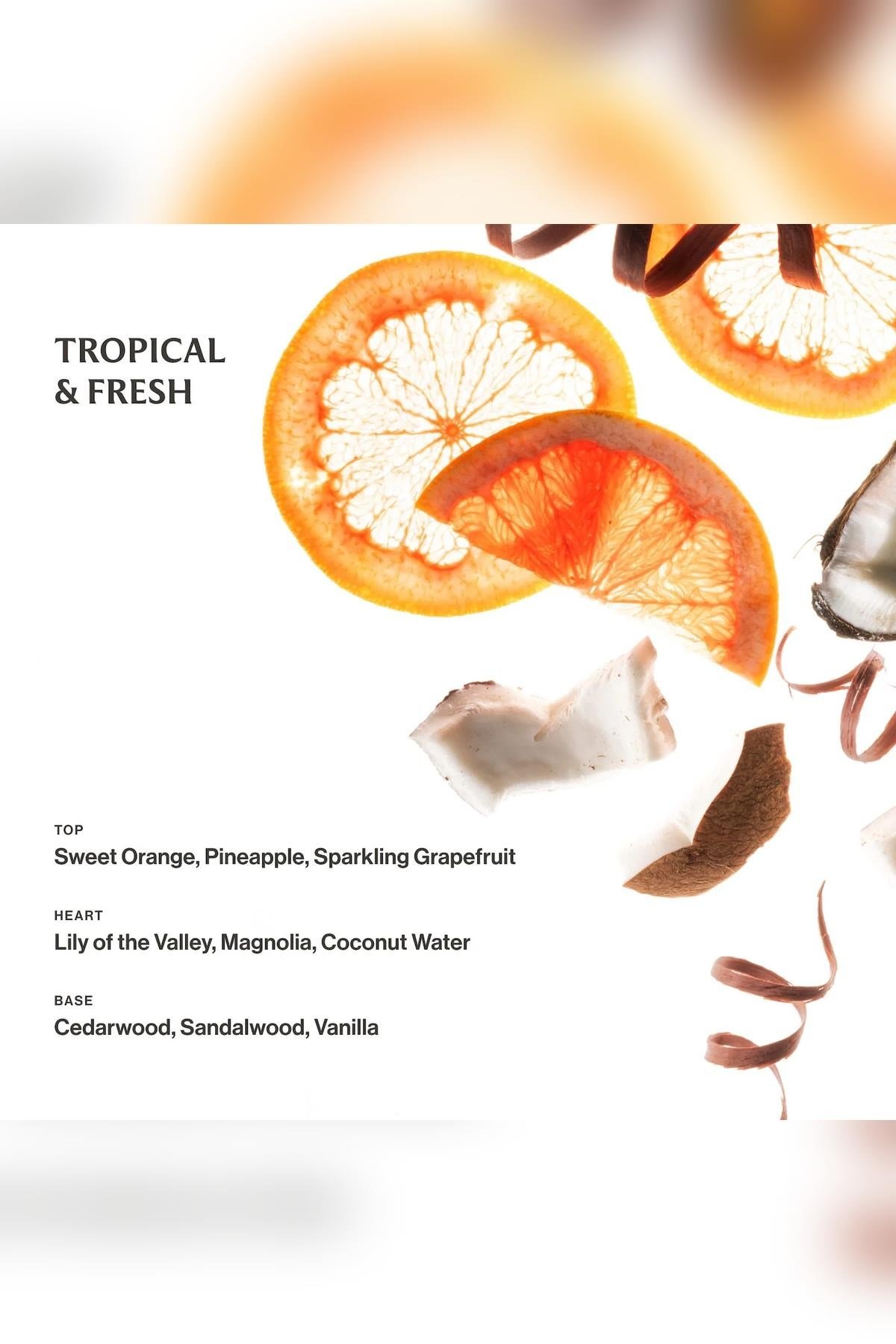 Touchland Beach Coco Nemlendirici ve Kokulu El Temizleme Spreyi 30ML