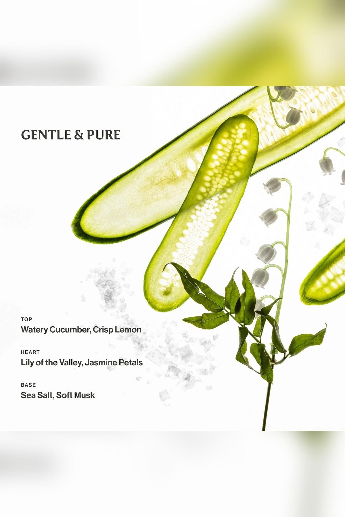 Touchland Lily Of The Valley Nemlendirici ve Kokulu El Temizleme Spreyi 30ML