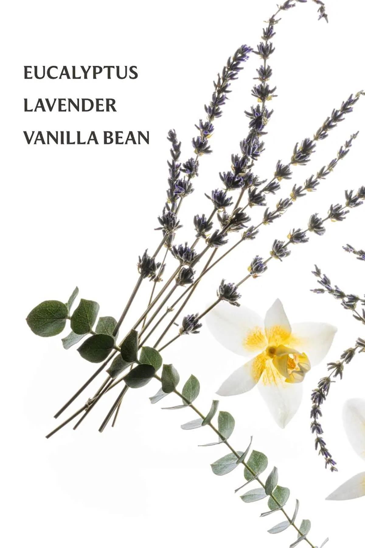 Touchland Pure Lavender Nemlendirici ve Kokulu El Temizleme Spreyi 30ML