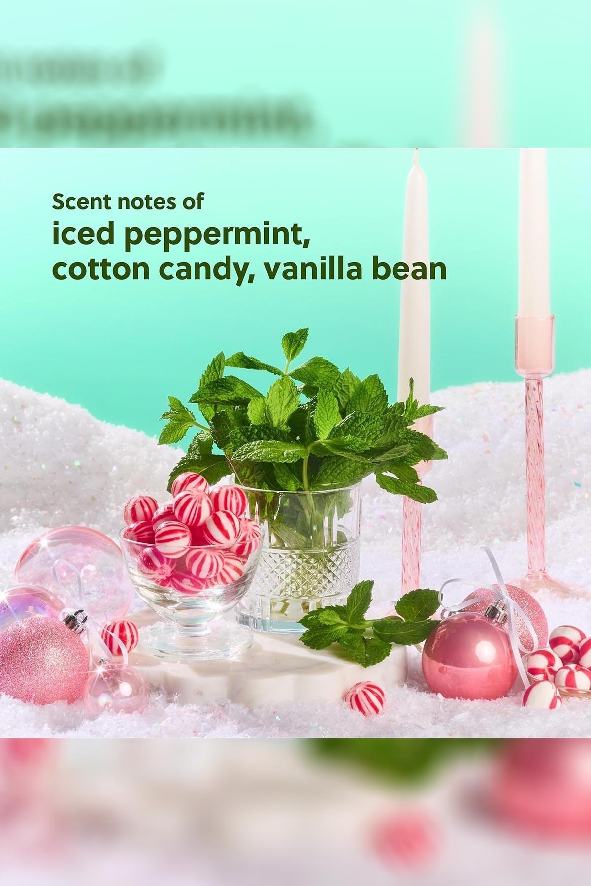 Tree Hut Merry Mint Vücut Spreyi 177ML