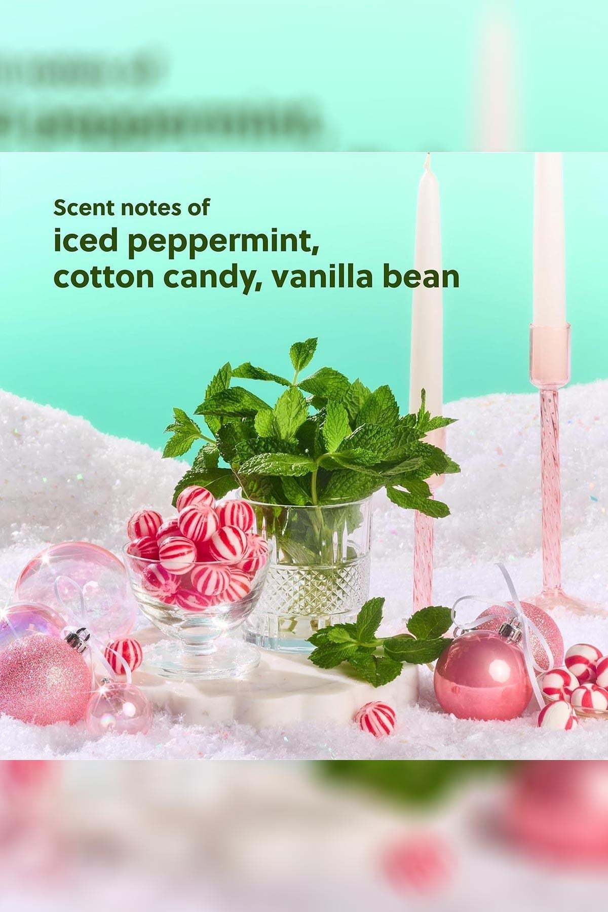 Tree Hut Merry Mint Vücut Spreyi 177ML