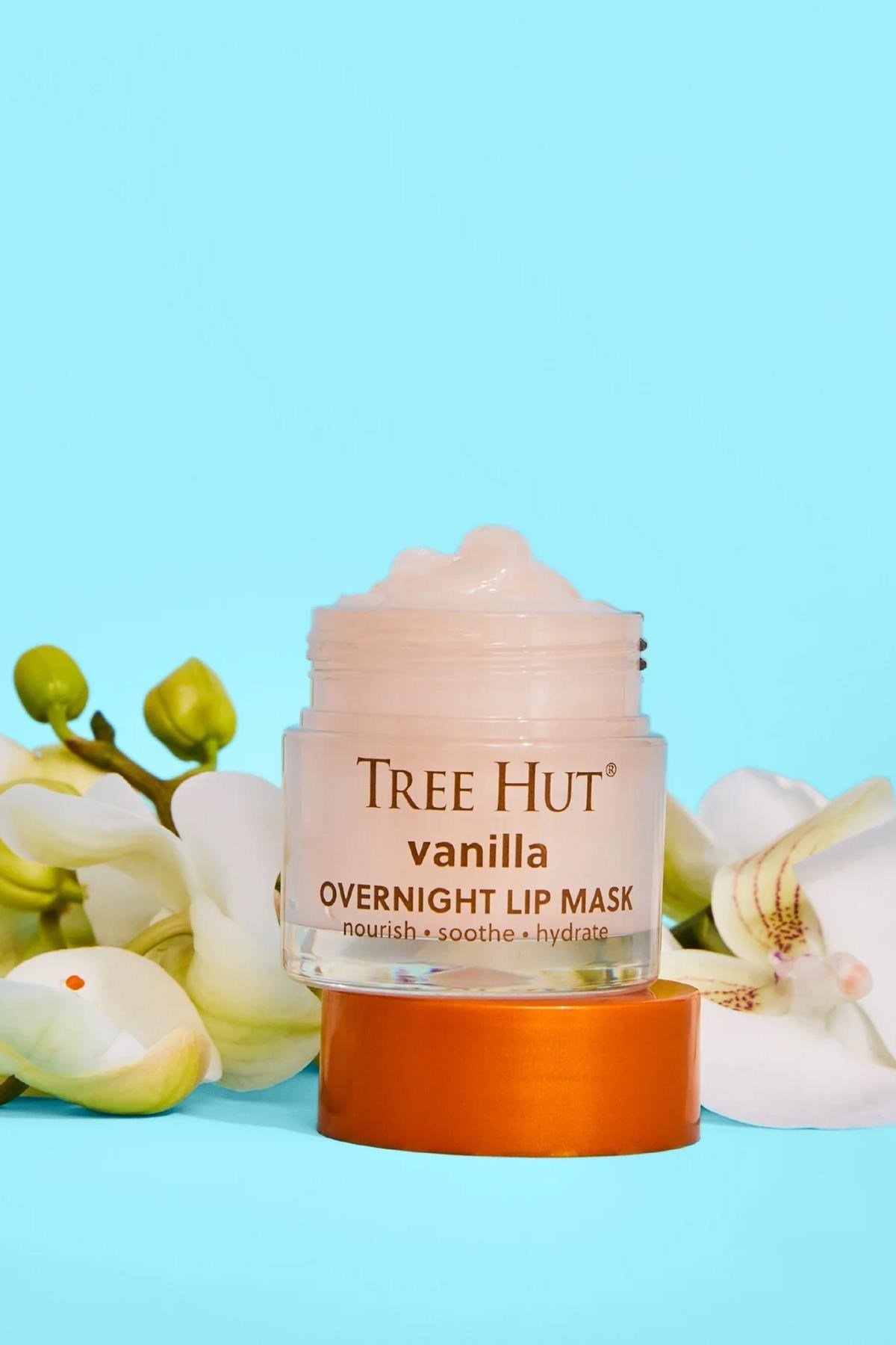 Tree Hut Vanilla Gece Boyu Nemlendirici Dudak Maskesi 17GR