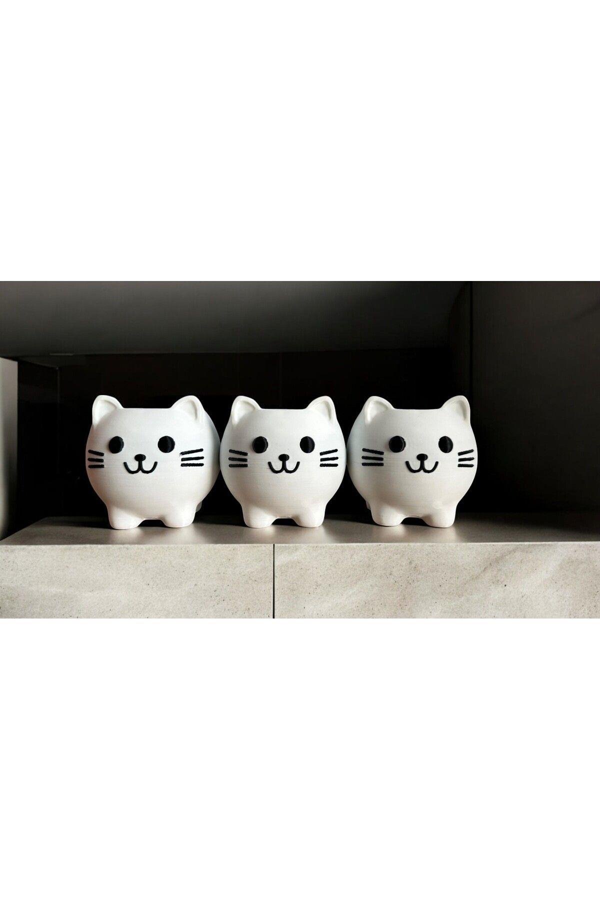 3'lü Kedi Saksı