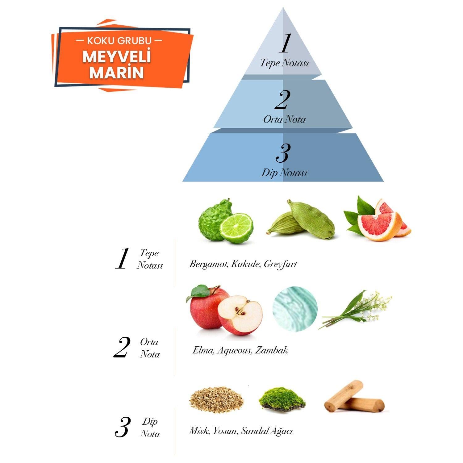 Prova P.12. Black Meyveli-Marin Erkek Parfüm 120 ml