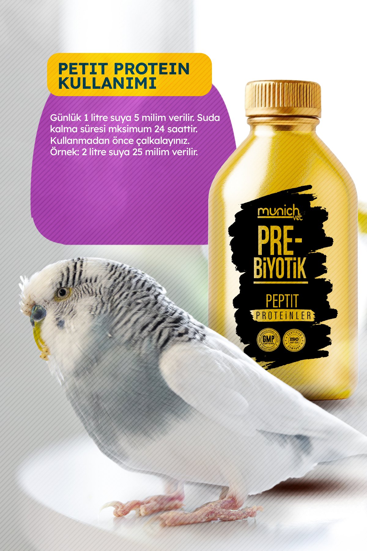 Altın Şişe Pettit Protein ve Prebiotik 250 ml 