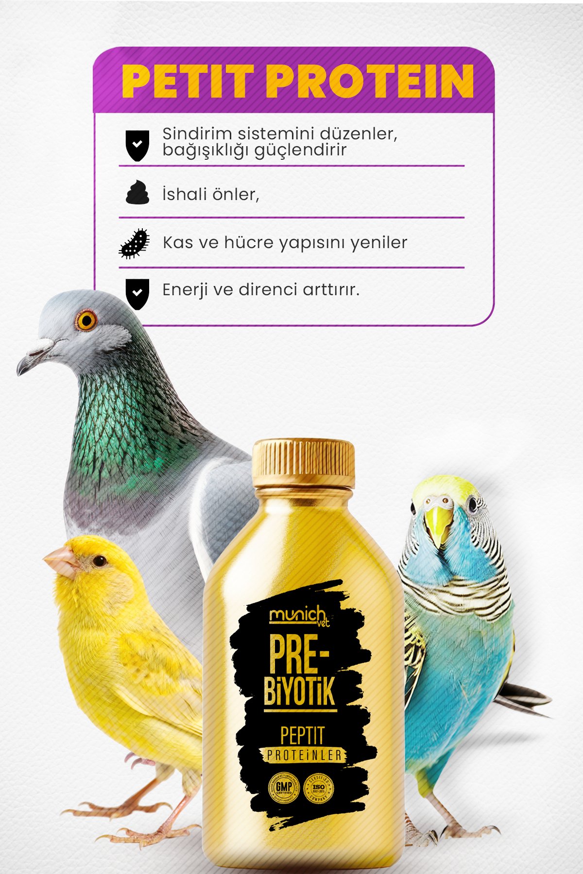 Altın Şişe Pettit Protein ve Prebiotik 250 ml 
