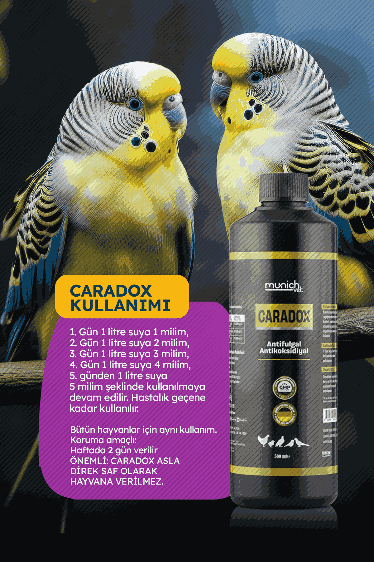 Munich Vet Caradox Kursak Mantarı Peynirleşme Pamukcuk Ürünü 500 ml