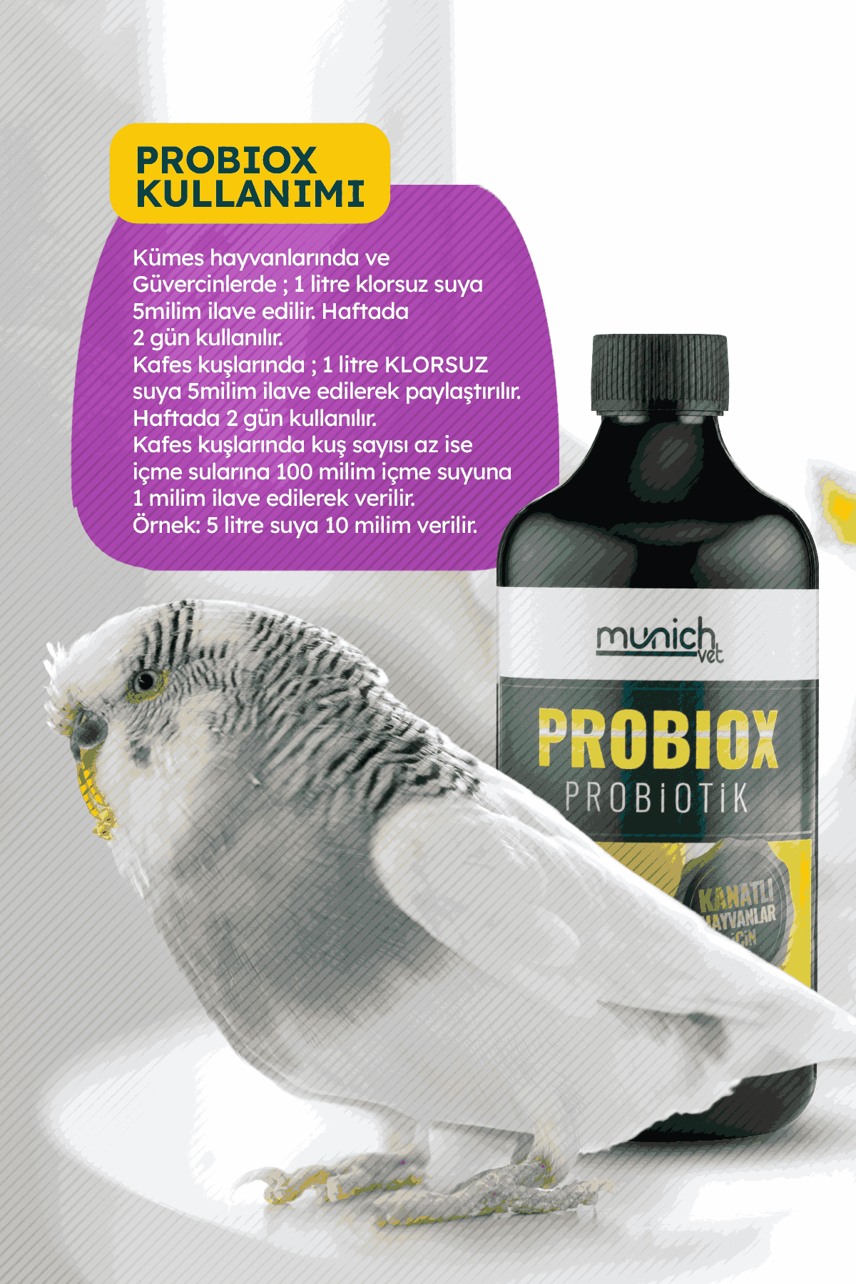 Munich Vet Probiox Sıvı Probiyotik 500 ml
