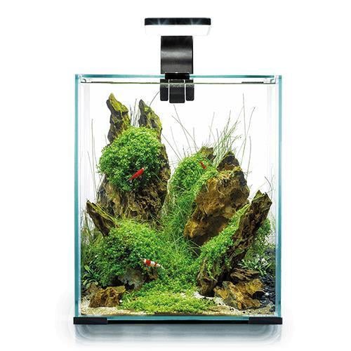 Aquael Shrimp Set Day and Night 10 Karides Akvaryumu Beyaz