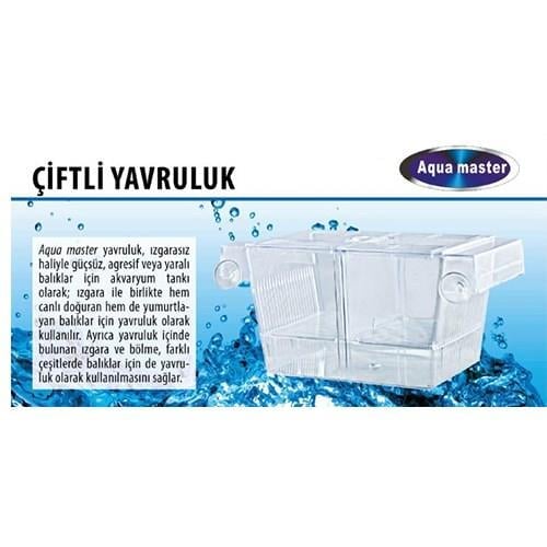 Aquawe Büyük İkili Yavruluk