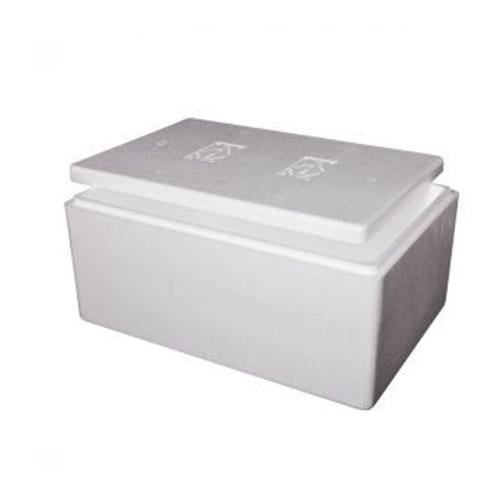 Balık Taşıma Strafor Kutu 17 Kg'lık (KARGO ALICIYA AİT)