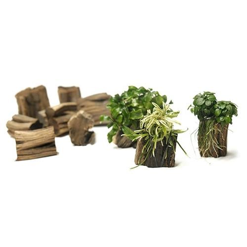 Creaqua Bucelog Akvaryum Bitki Bağlama Standı