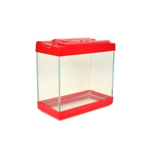 Plastik Kapaklı Mini Akvaryum