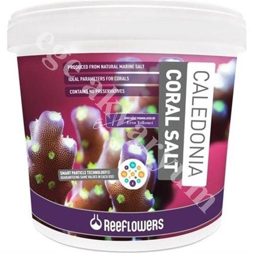 Reeflowers Caledonia Coral Salt 6,5kg