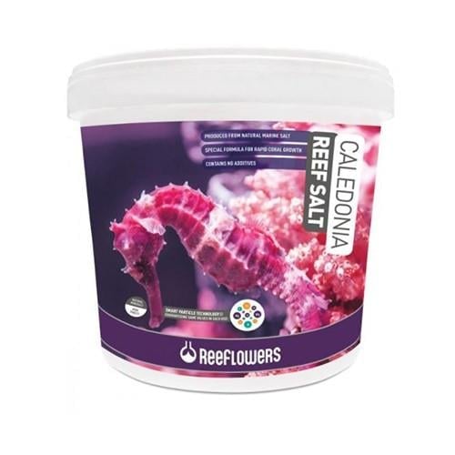 Reeflowers Caledonia Reef Salt 6,5kg