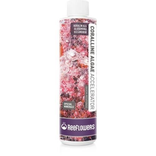 Reeflowers Coralline Algae Accelerator 250ml