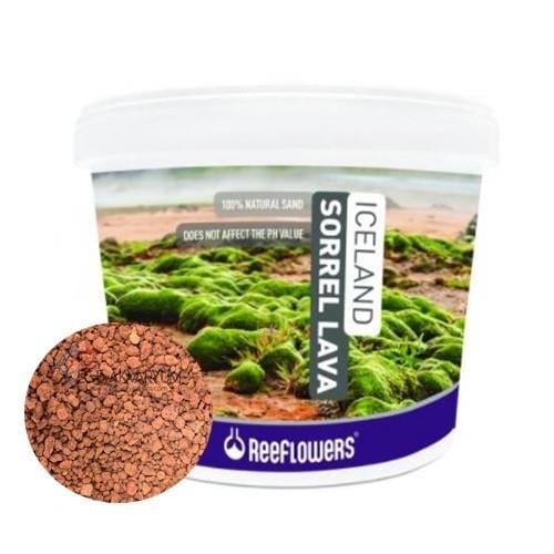 Reeflowers Lav Kırığı 1-3 mm 1 kg Kovadan Bölme