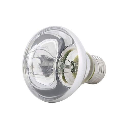 Sürüngen ve Kaplumbağa Isıtıcı Ampul 100 watt