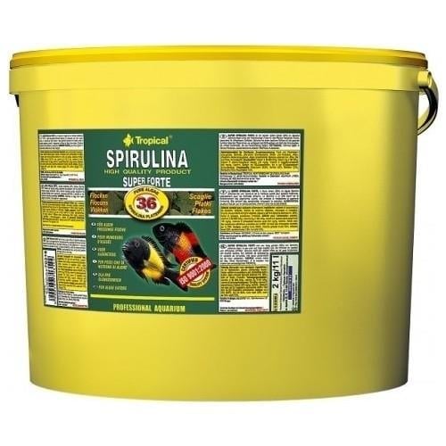 Tropical Super Spirulina Forte 100Gr (Kovadan Bölme)