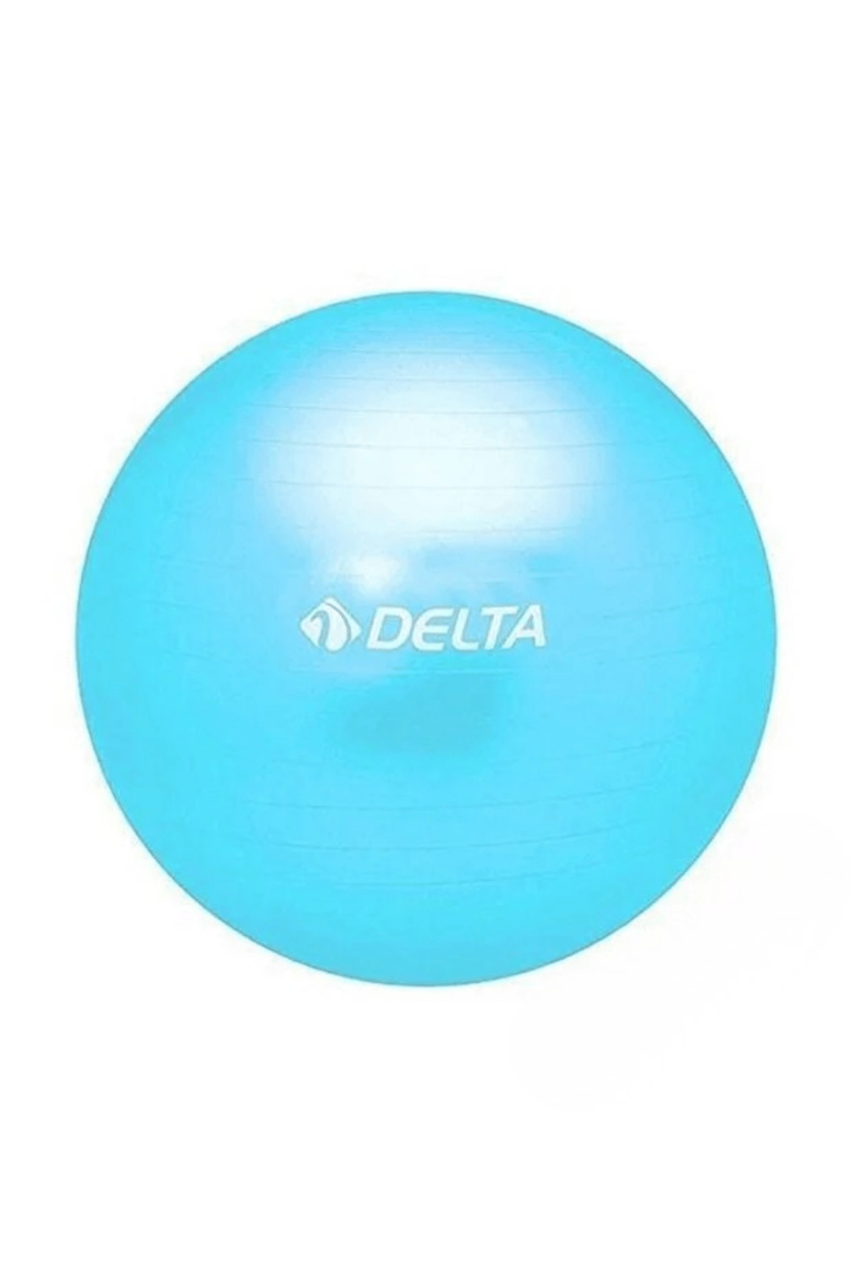 Delta TMB236 Mavi Pilates Topu 25 cm