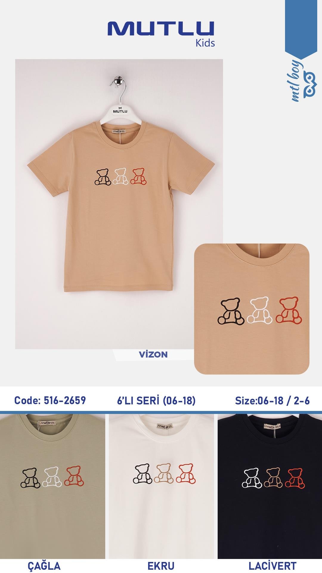 3 AYICIKLI ERKEK TSHIRT