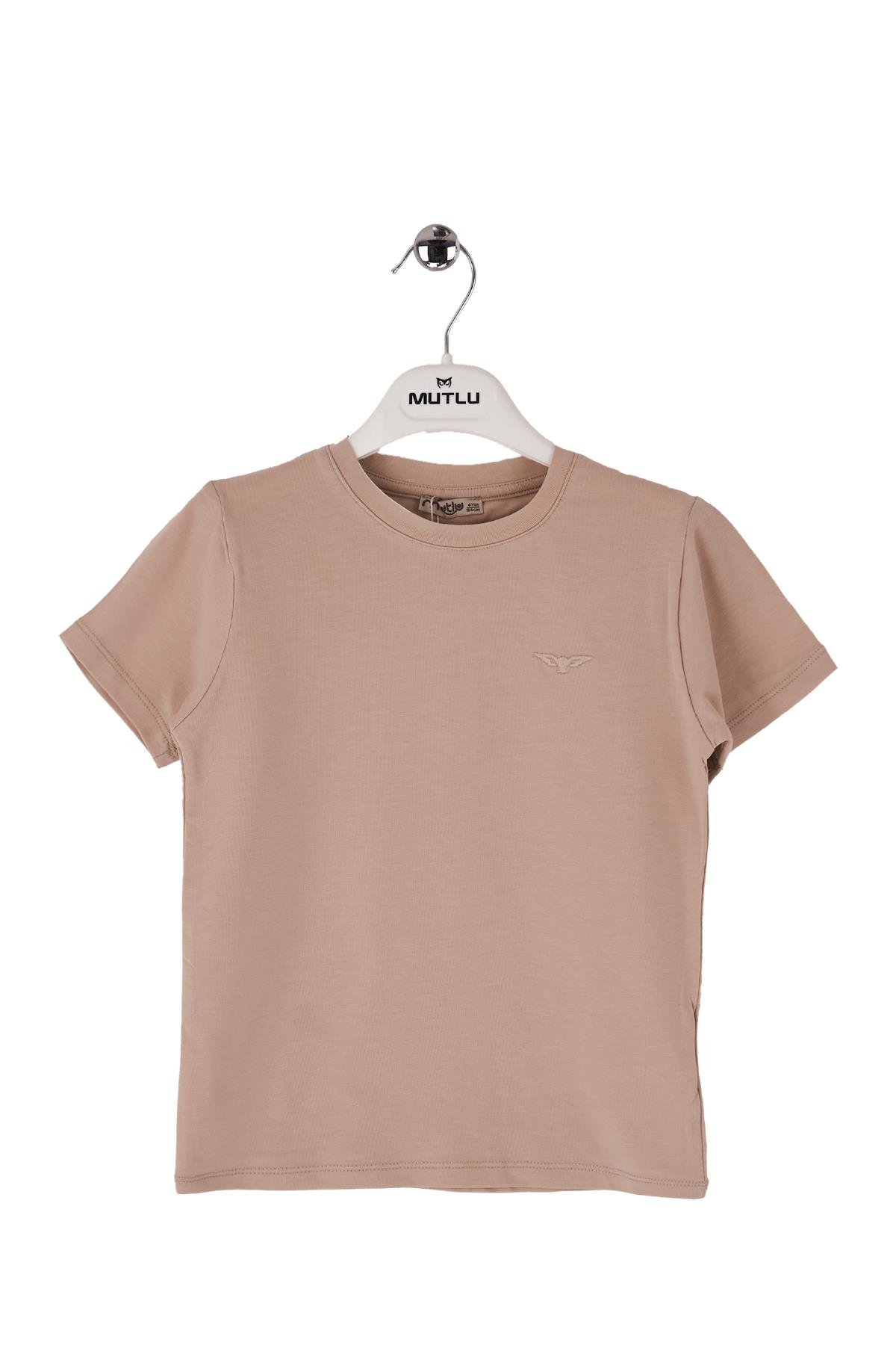 BASİC NAKIŞLI ERKEK TSHIRT