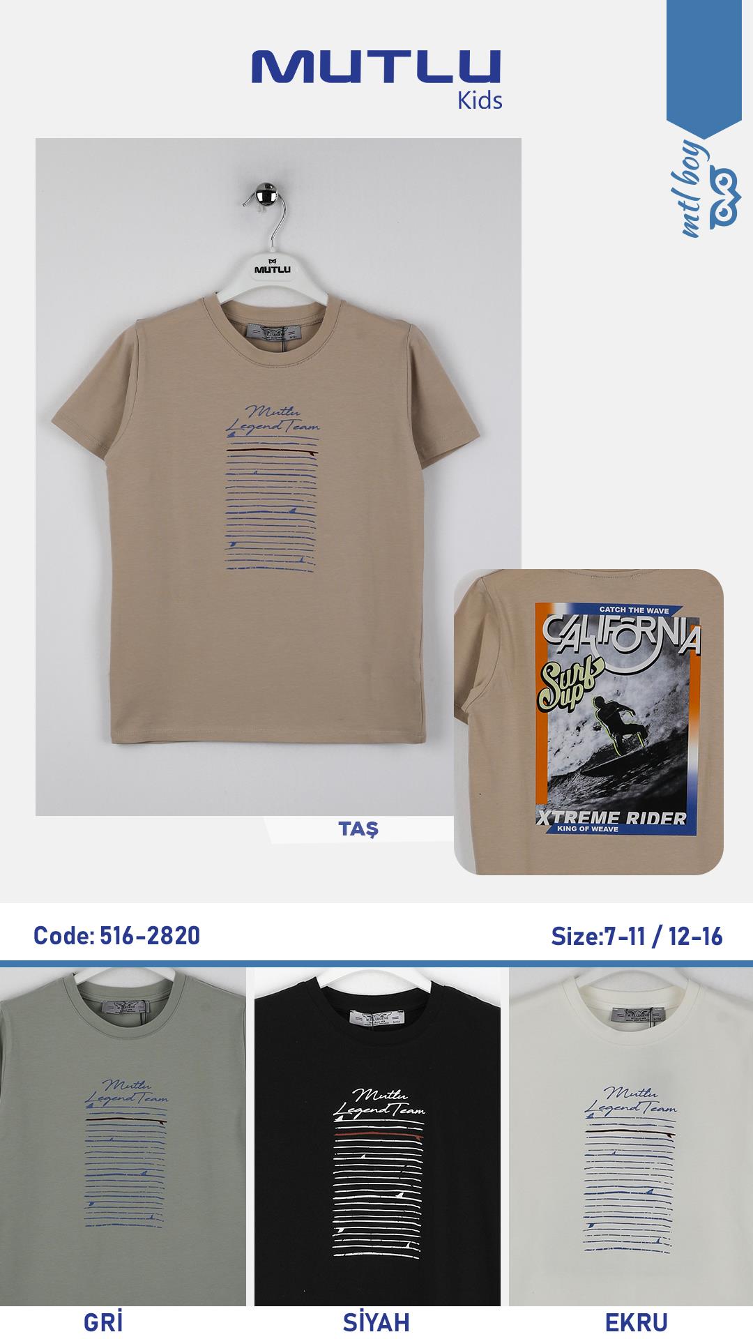 BASKI NAKIŞ DETAYLI ERKEK TSHIRT