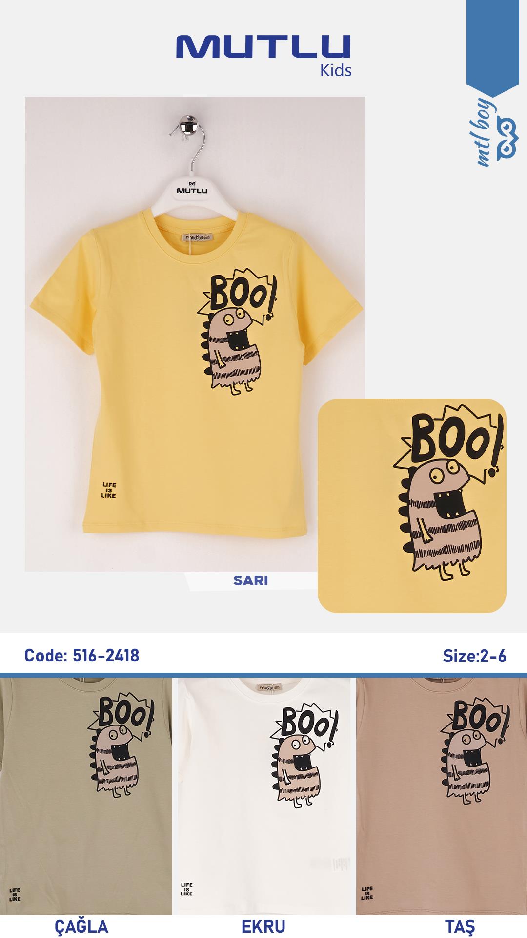 BOO BASKILI ERKEK TSHIRT