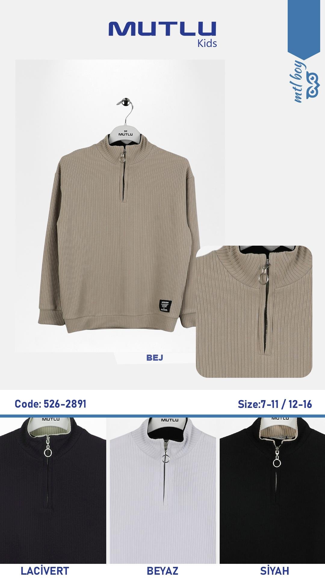 DİK YAKA JAKARLI ERKEK SWEATSHIRT