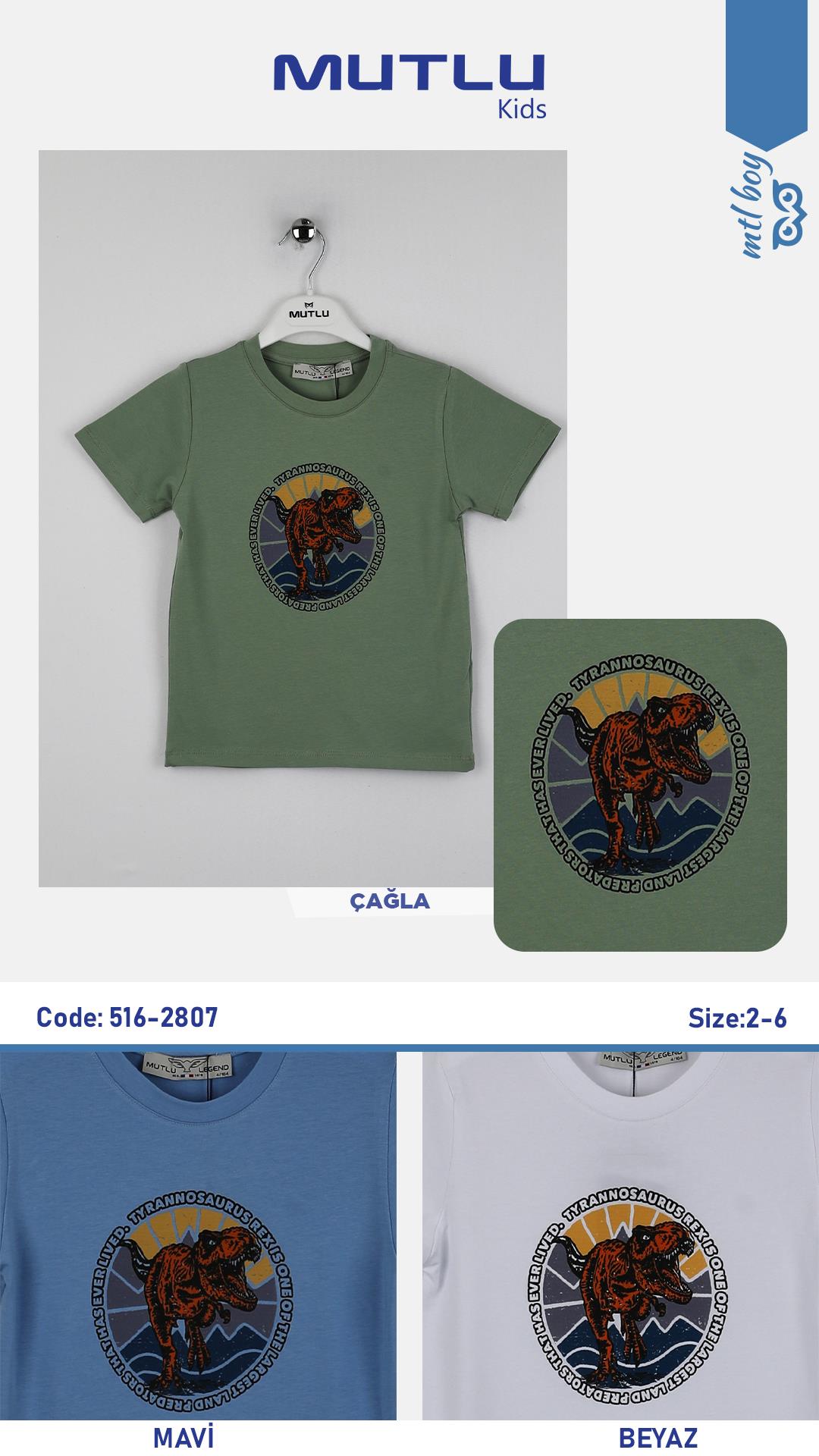 DİNAZOR BASKILI ERKEK TSHIRT