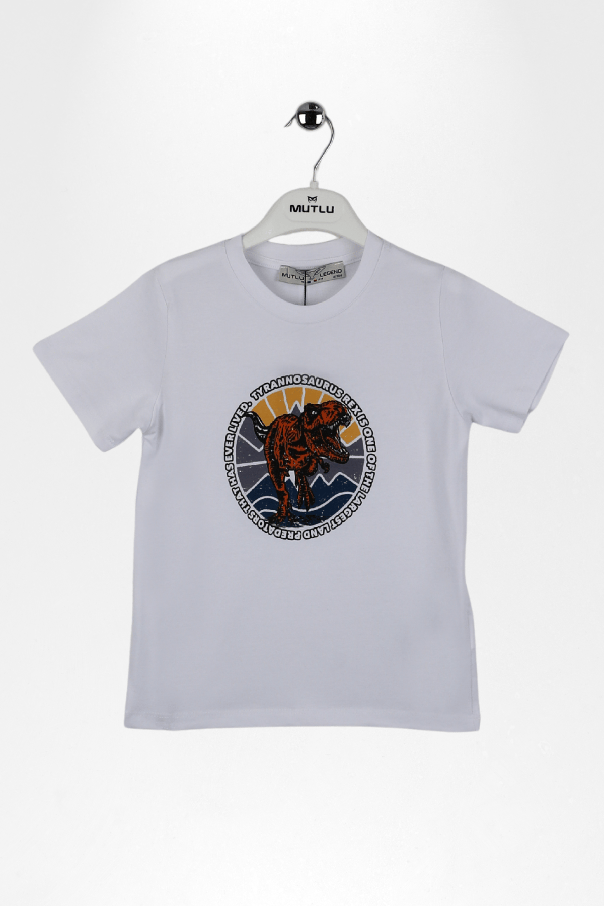 DİNAZOR BASKILI ERKEK TSHIRT