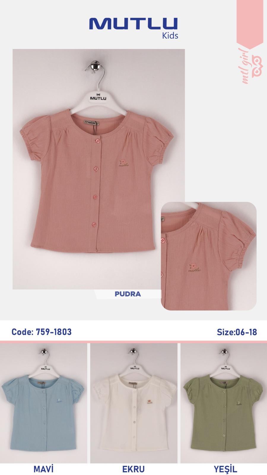 NAKIŞLI KIZ KISA KOL GÖMLEK